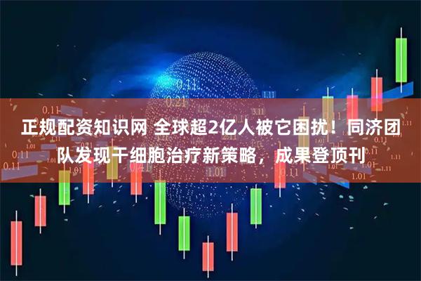 正规配资知识网 全球超2亿人被它困扰！同济团队发现干细胞治疗新策略，成果登顶刊