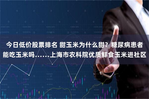 今日低价股票排名 甜玉米为什么甜？糖尿病患者能吃玉米吗……上海市农科院优质鲜食玉米进社区