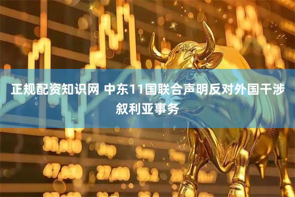 正规配资知识网 中东11国联合声明反对外国干涉叙利亚事务