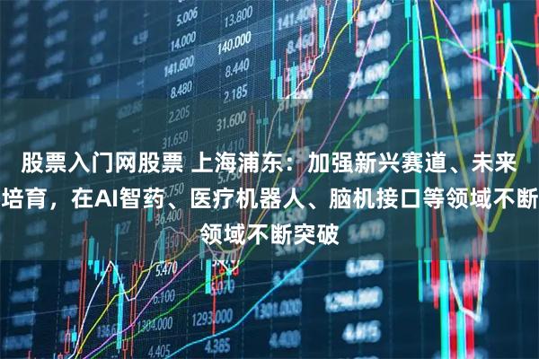 股票入门网股票 上海浦东：加强新兴赛道、未来产业培育，在AI智药、医疗机器人、脑机接口等领域不断突破