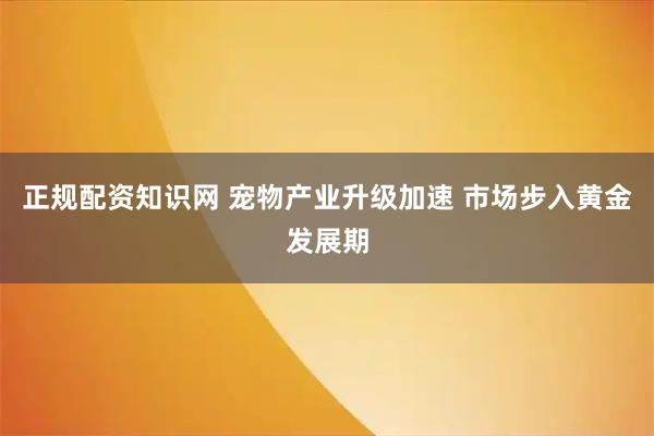 正规配资知识网 宠物产业升级加速 市场步入黄金发展期