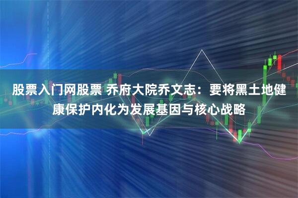 股票入门网股票 乔府大院乔文志：要将黑土地健康保护内化为发展基因与核心战略