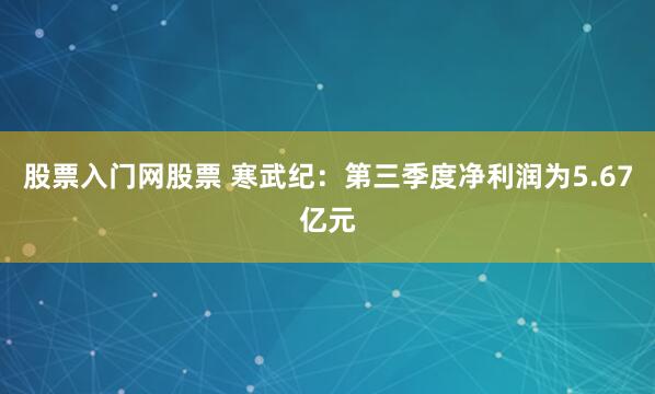 股票入门网股票 寒武纪：第三季度净利润为5.67亿元