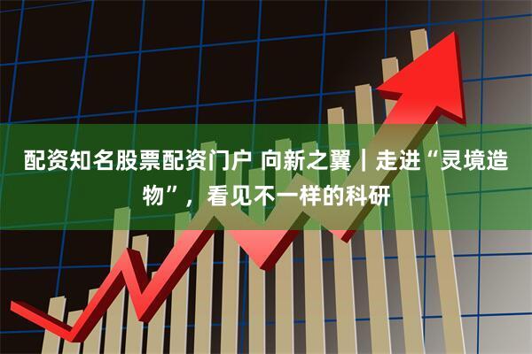 配资知名股票配资门户 向新之翼｜走进“灵境造物”，看见不一样的科研